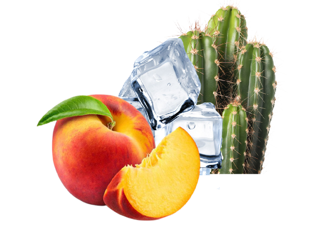 Peach Kaktus